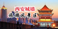 黄色流水抠逼网站中国陕西-西安城墙旅游风景区